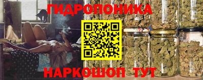 скорость Камышлов