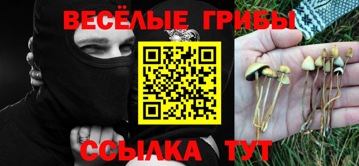 Галлюциногенные грибы Cubensis  Псилоцибиновые грибы MAGIC MUSHROOMS  Ишим  Вход с VPN 