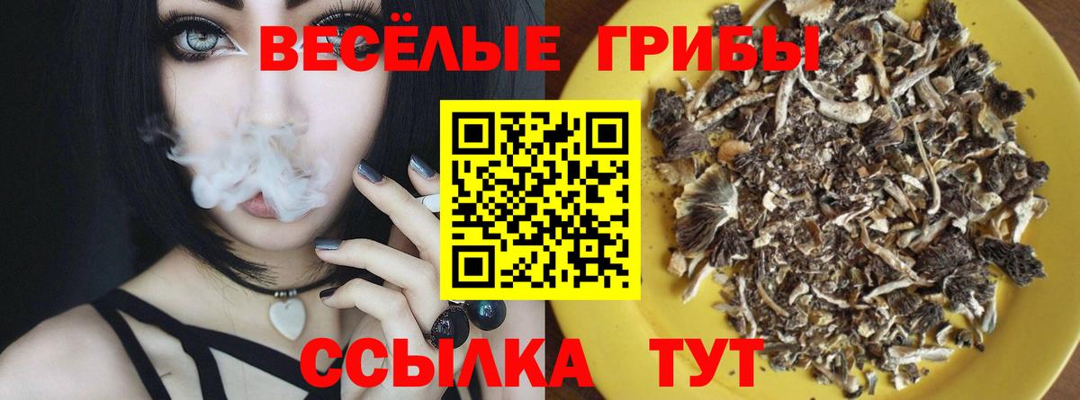Псилоцибиновые грибы ЛСД Ишим